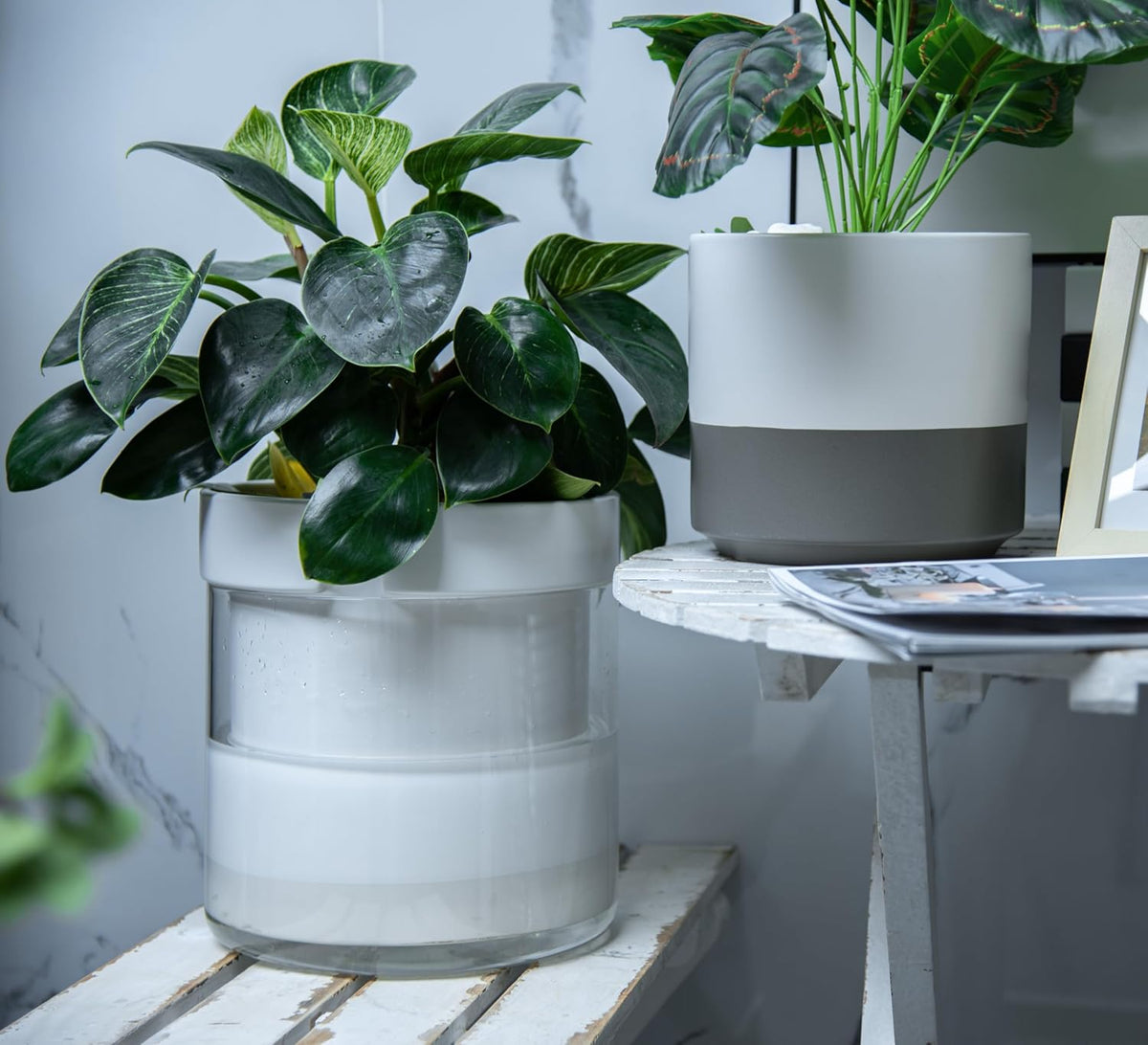 Phoenix Vine 10 Inch Self Watering Planter, White Terracotta Clay Pot with Glass Reservoir for