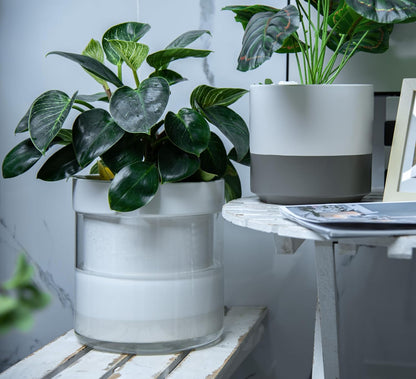 Phoenix Vine 10 Inch Self Watering Planter, White Terracotta Clay Pot with Glass Reservoir for