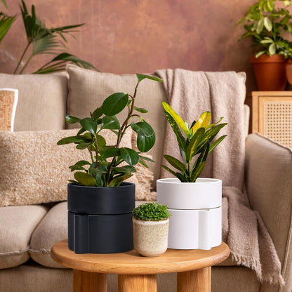 Phoenix Vine 8 Inch Self-Watering Planter Pot with Terracotta Insert, Deep Water Reservoir, and