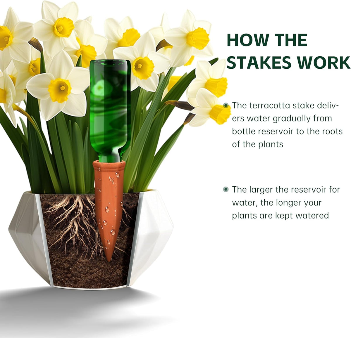 Large Terracotta Watering Spikes with Lids, Automatic Plant Waterer Outdoor | Indoor, Vacation