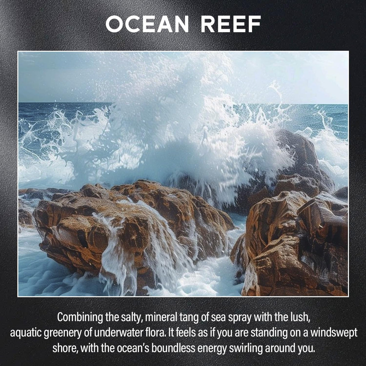 Ocean Reef Candle, 9oz Scented Candle for Men, Scented Candles for Home, Gifts for Men