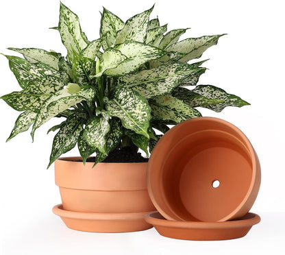 INGOFIN 8 Inch Terracotta Shallow Pots Set with Saucer - Ceramic Clay Pots with Drainage Hole
