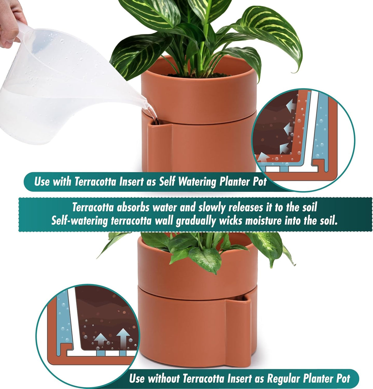 Phoenix Vine 6.5 Inch Self-Watering Planter Pot with Terracotta Insert, Deep Water Reservoir, and