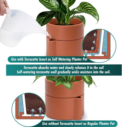 Phoenix Vine 6.5 Inch Self-Watering Planter Pot with Terracotta Insert, Deep Water Reservoir, and