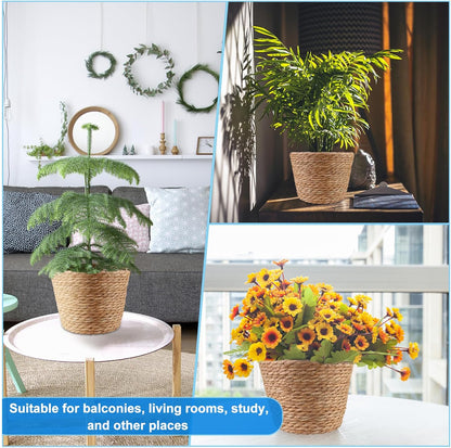4 Pcs Large Premium Seagrass Planter Basket with Plastic Lining Natural Stylish Planter Baskets