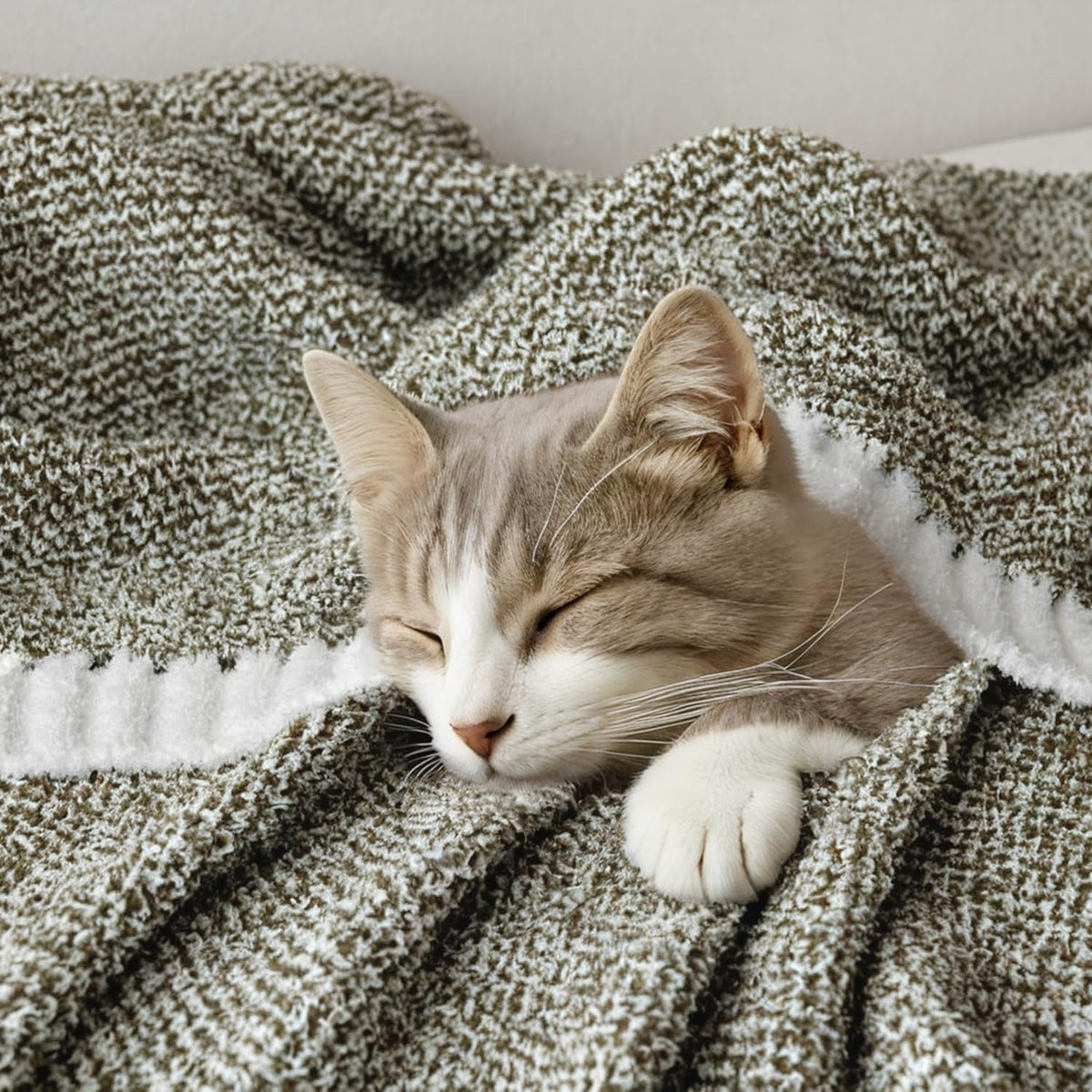 MIULEE Super Soft Throw Blanket for Couch, Olive Green Cozy Fluffy Warm Blankets Lightweight Knit