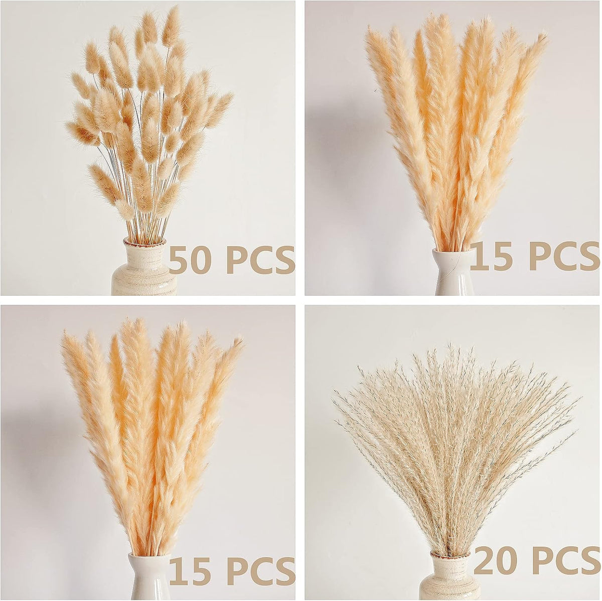 Natural Dried Pampas Grass Decor, Beige Pampas Grass, Bunny Tails Dried Flowers, Reed Grass Bouquet