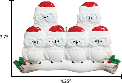 3D Owl Family of 6 Ornament 2025 Personalized Family Christmas Ornaments 2025 | White Holiday