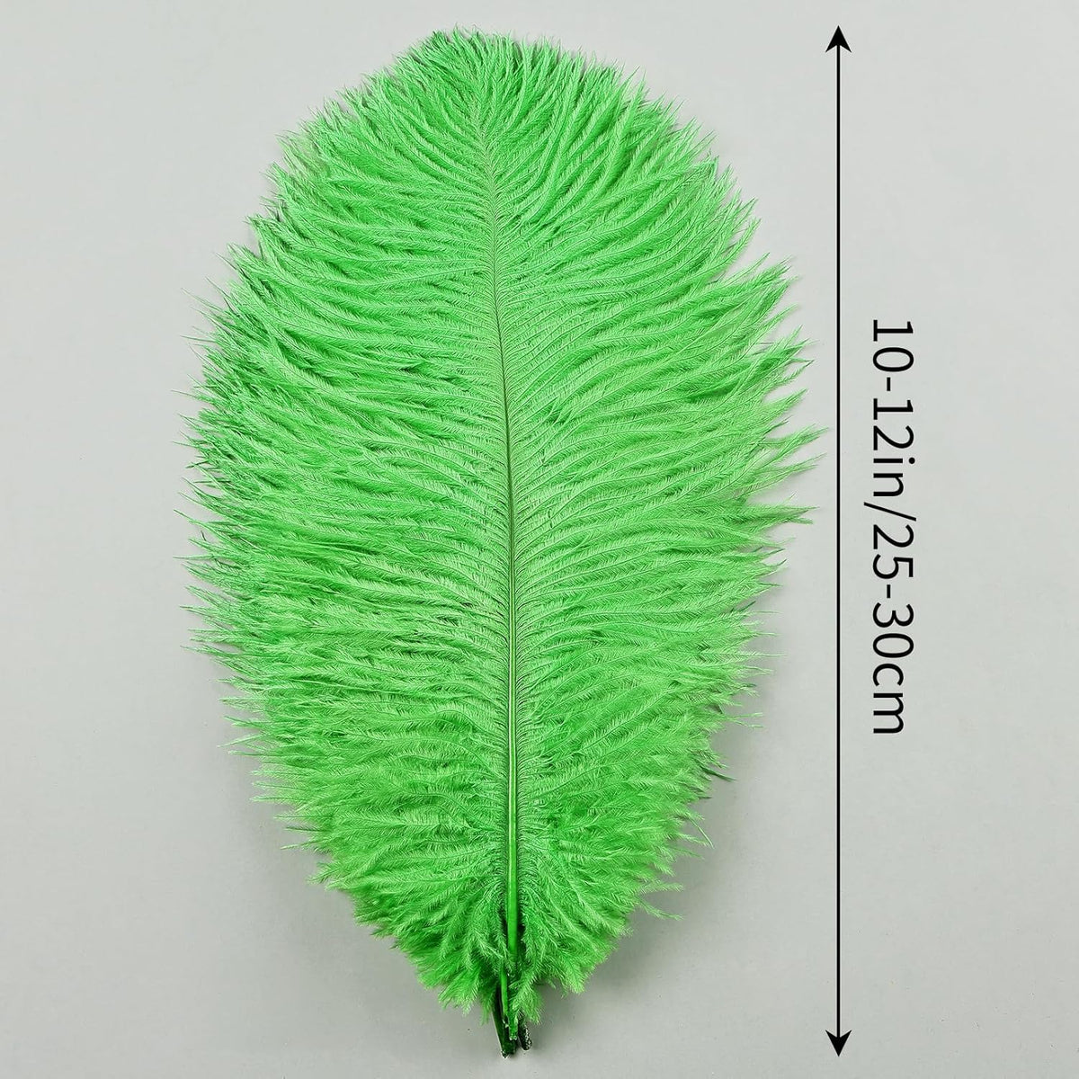 THARAHT Green Ostrich Feathers 12pcs Natural Bulk 10-12Inch 25cm-30cm for Crafts Wedding Party
