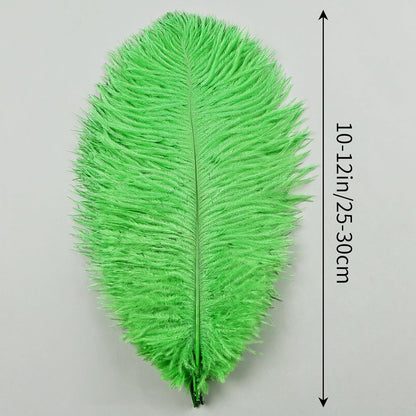THARAHT Green Ostrich Feathers 12pcs Natural Bulk 10-12Inch 25cm-30cm for Crafts Wedding Party