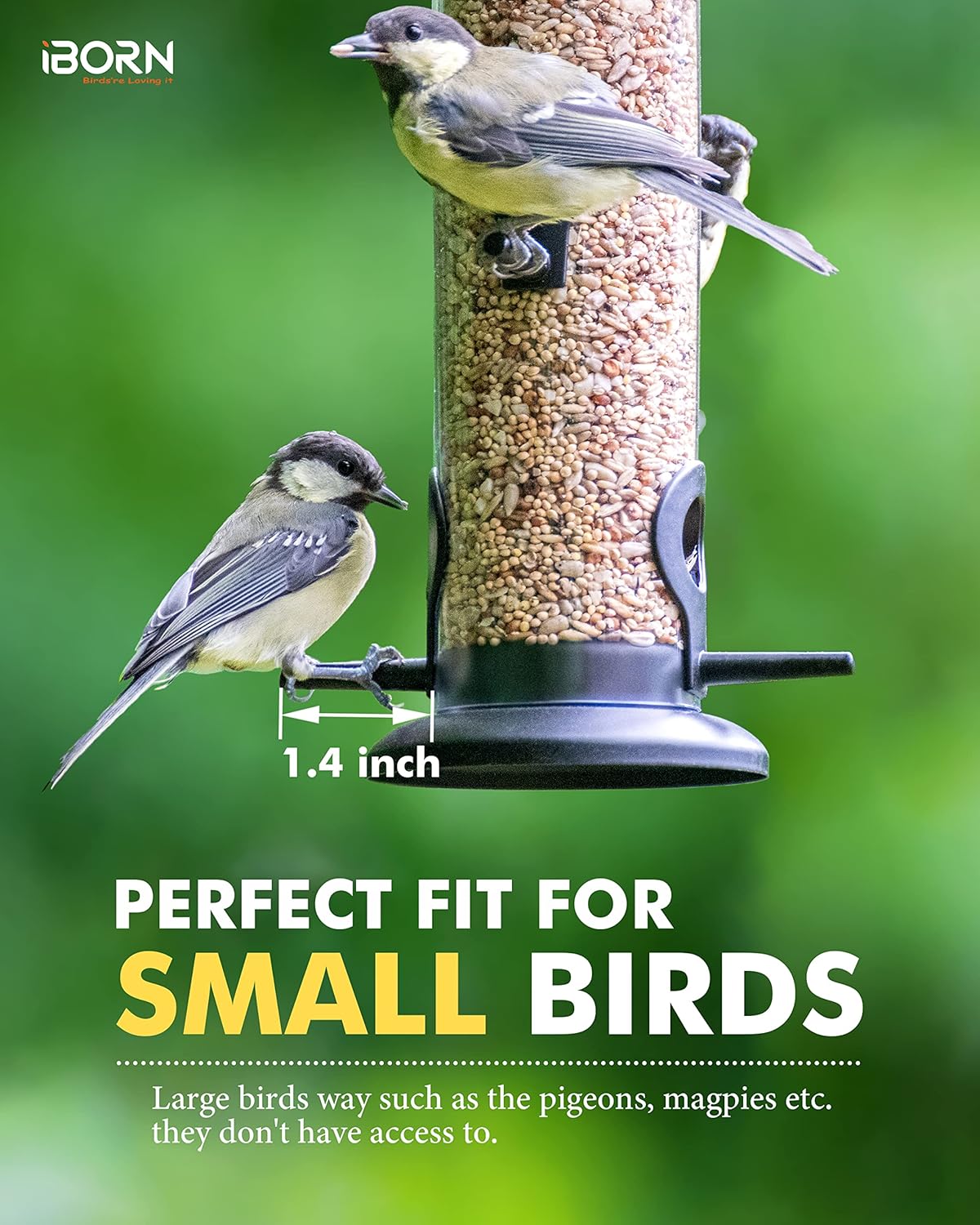 iBorn Metal Bird Feeders Black Wild Bird Feeder for Outdoors Hanging All Metal Black Finishing 14