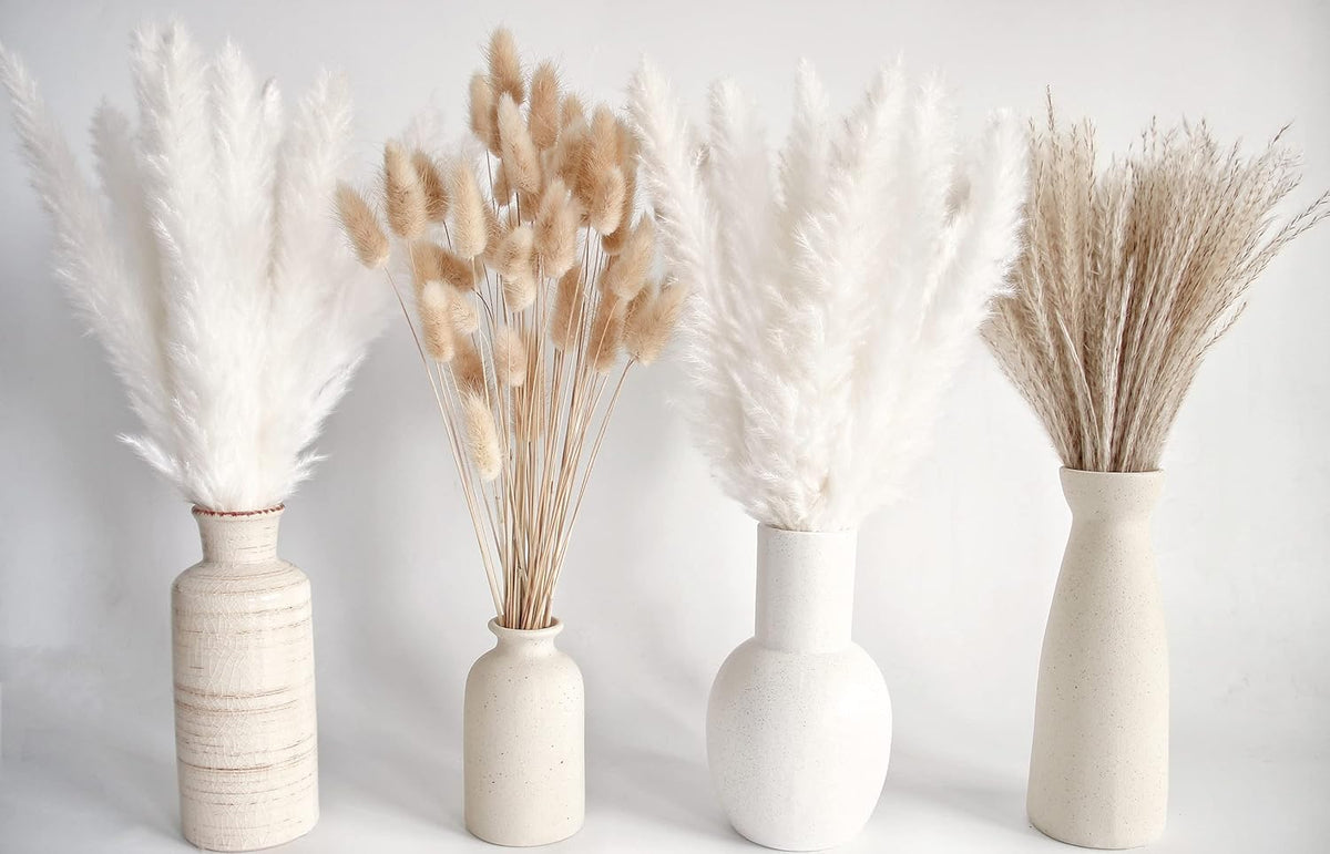 Natural Dried Pampas Grass Decor, White Pampas Grass， Bunny Tails Dried Flowers, Reed Grass Bouquet