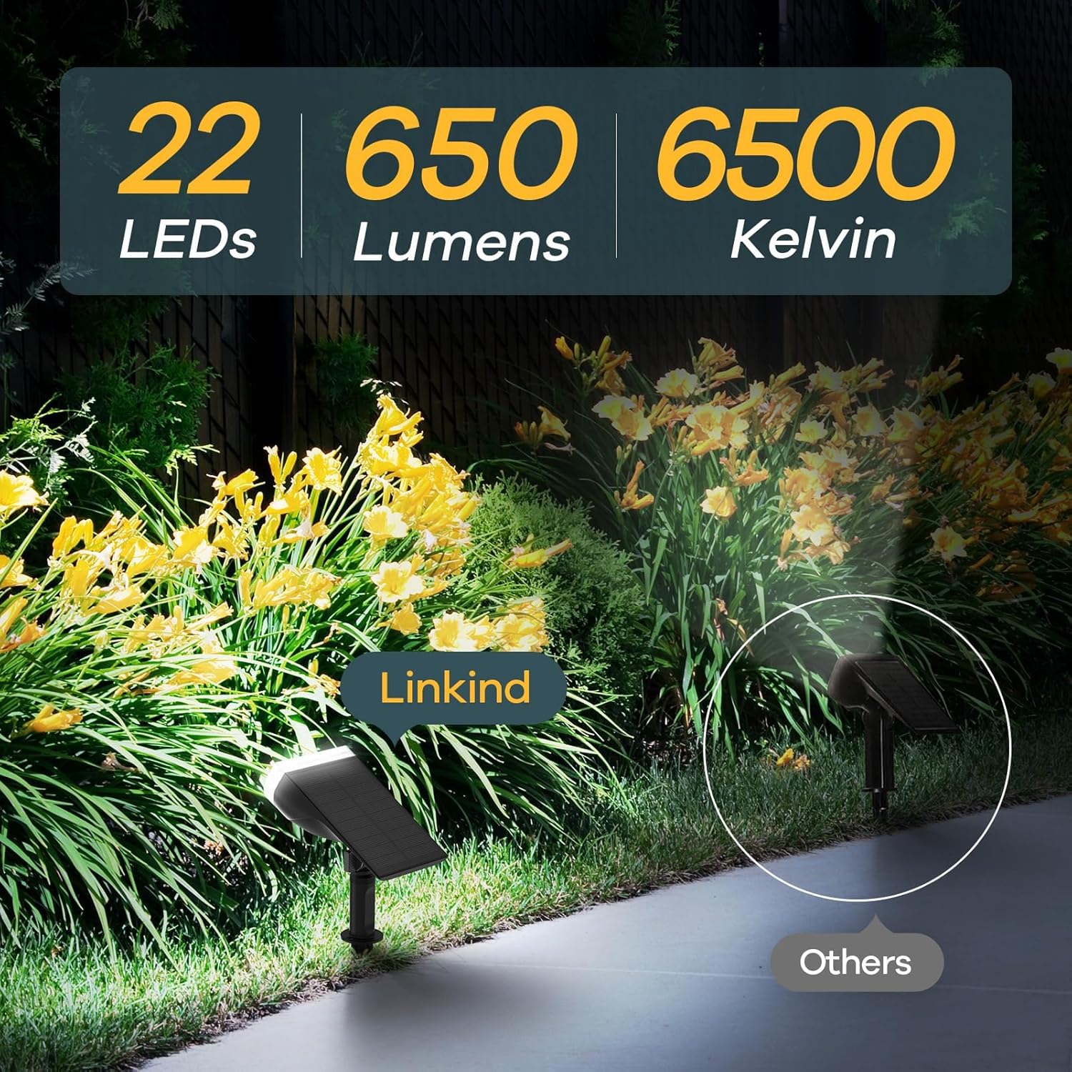 Linkind Solar Lights Outdoor Waterproof IP67, StarRay Dusk-to-Dawn Outdoor Solar Lights, 3 Lighting