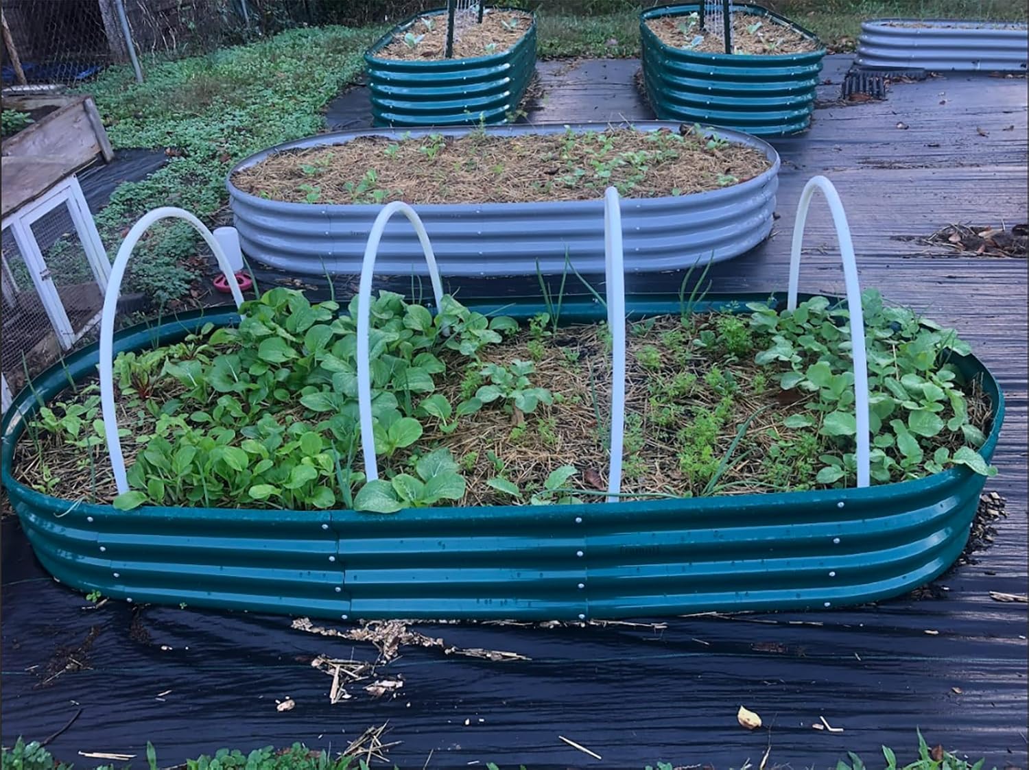 2 Pack 8x3x1FT Galvanized Raised Garden Bed Large Metal Planter Box Kit Elevated Raised Garden
