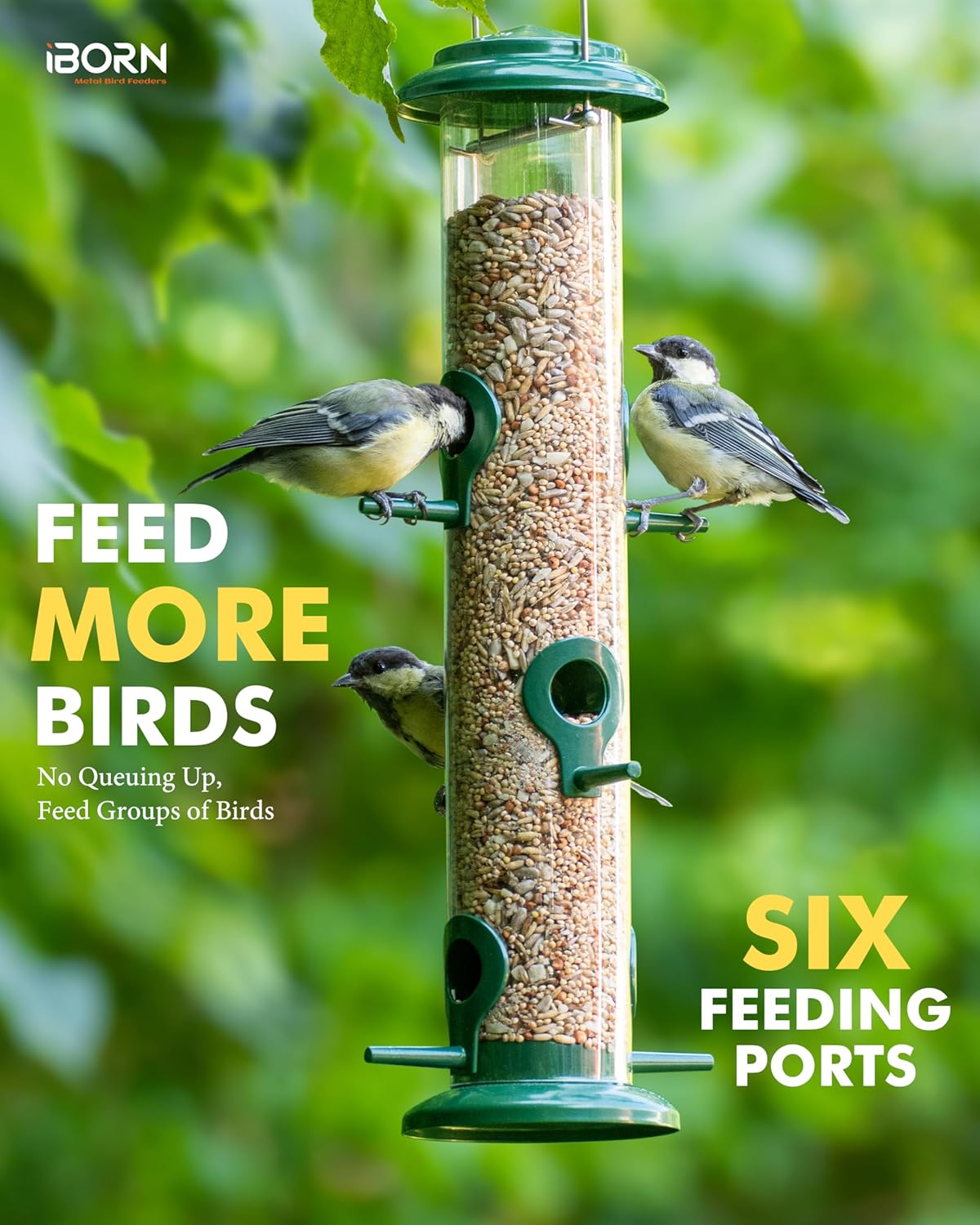 iBorn Metal Bird Feeders 6 Ports Hanging Wild Bird Seed Feeder for Mix Seed Blends, Niger Seed