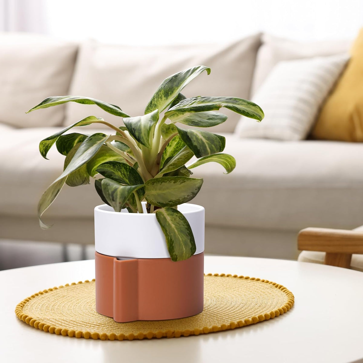 6.5 Inch Self-Watering Planter Pot with Terracotta Insert, Deep Water Reservoir, and Ceramic-Alike