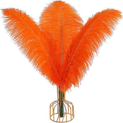 THARAHT Orange Ostrich Feathers 12pcs Large Natural Bulk 12-14Inch 30cm-35cm for Wedding Party