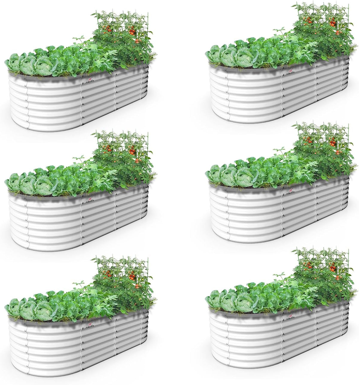 A ANLEOLIFE 6X3X2 ft Galvanized Raised Garden Beds Outdoor-6 Pack, Oval Large Metal Deep Root
