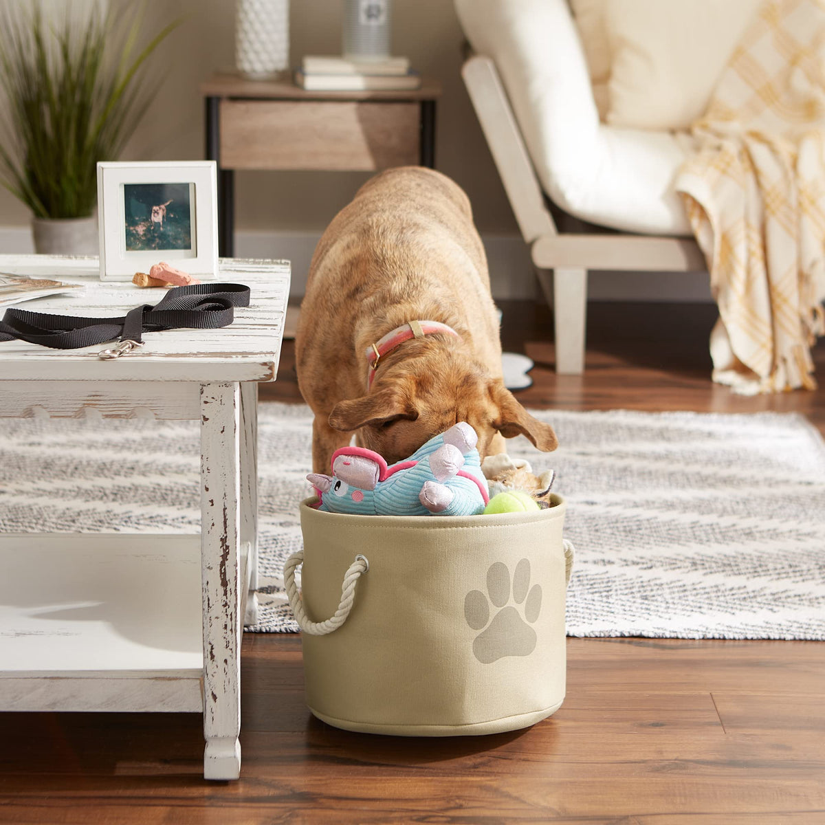 Bone Dry Pet Storage Collection Collapsible Bin, Small Round, Taupe