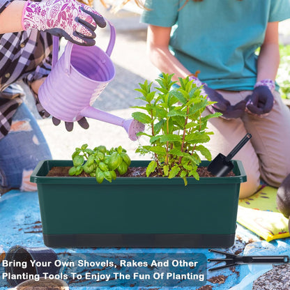 Window Box Planter 8 Pcs, 17 Inches Rectangle Flower Pots with Drainage Holes and Trays, Vegetable