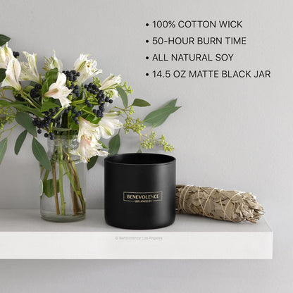 Benevolence LA Pine Wood Scented Candles | 14.5 oz Christmas Candles for Women | 45 Hour Burn Pine