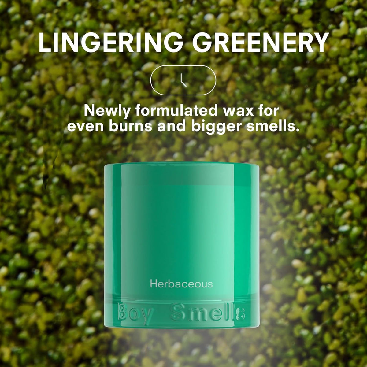 Boy Smells Grass Scented Candle - 8.5 oz - Home Candle with Bergamot, Fresh Sage, and Wild Grass