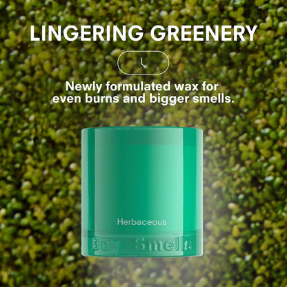 Boy Smells Grass Scented Candle - 8.5 oz - Home Candle with Bergamot, Fresh Sage, and Wild Grass