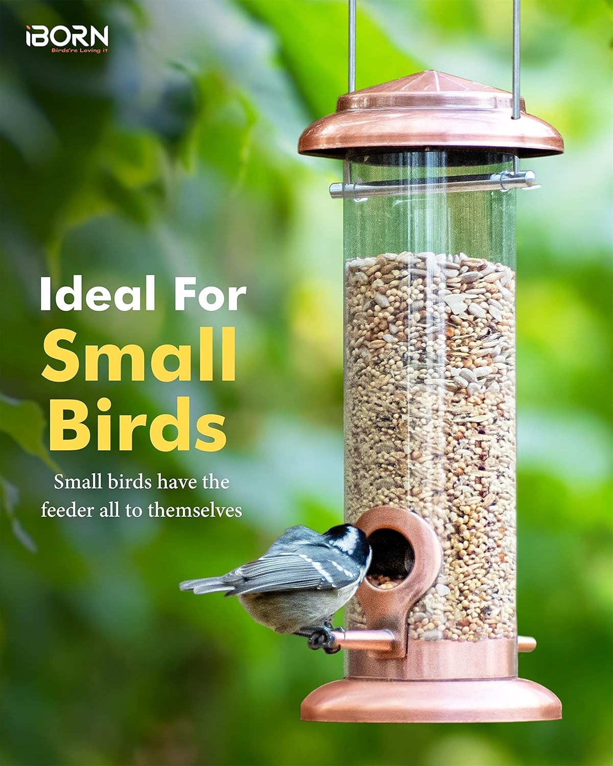 iBorn Metal Bird Feeder Hanging Wild Bird Feeders for Mix Seed Blends Heavy Duty All Metal