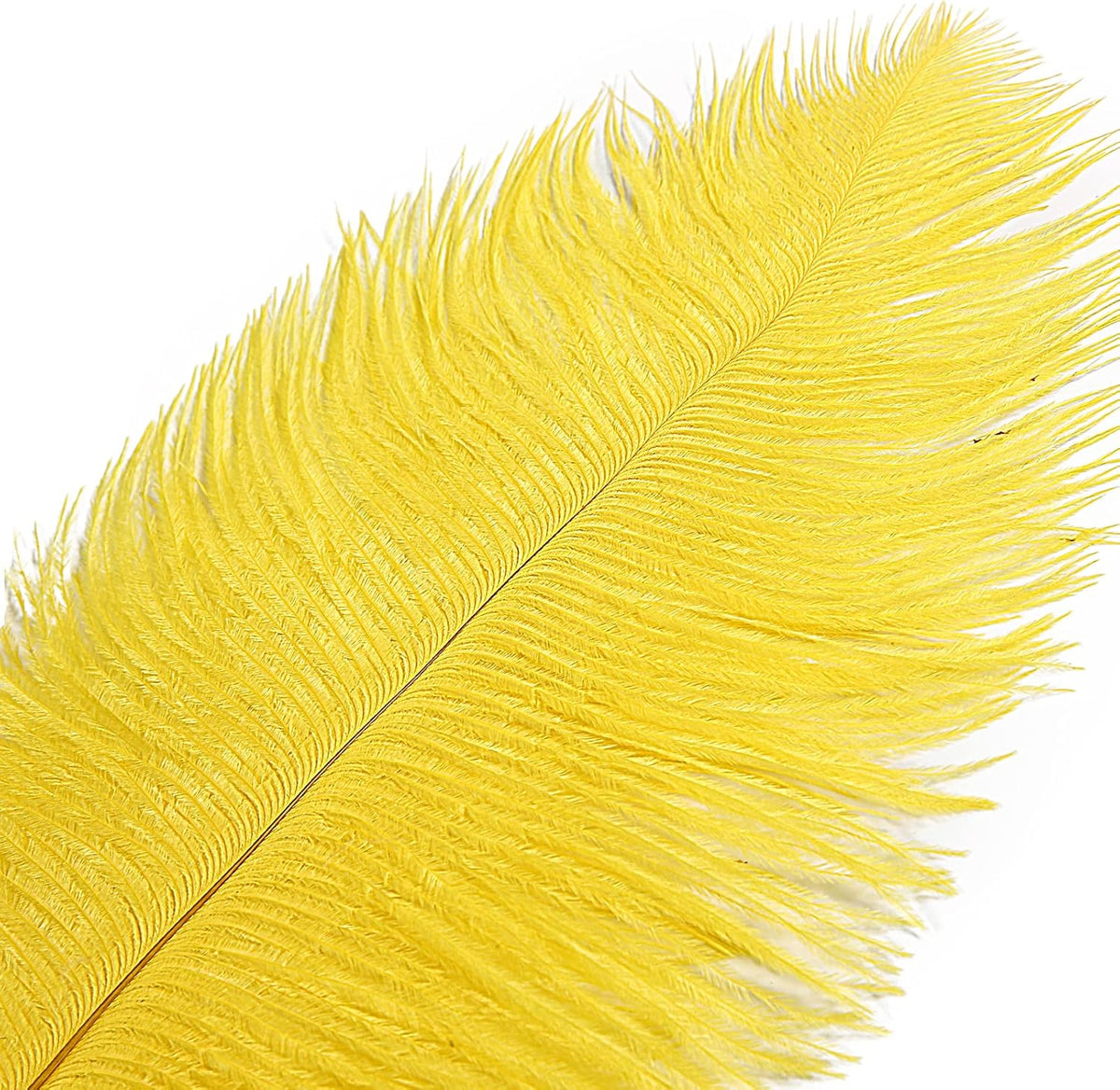 THARAHT Yellow Ostrich Feathers 12pcs Large Natural Bulk 14-16Inch 35cm-40cm for Wedding Party