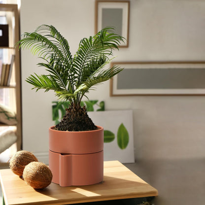 Phoenix Vine 6.5 Inch Self-Watering Planter Pot with Terracotta Insert, Deep Water Reservoir, and