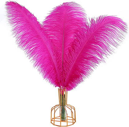 THARAHT Hot Pink Ostrich Feathers 12pcs Large Natural Bulk 16-18Inch 40cm-45cm for Wedding Party