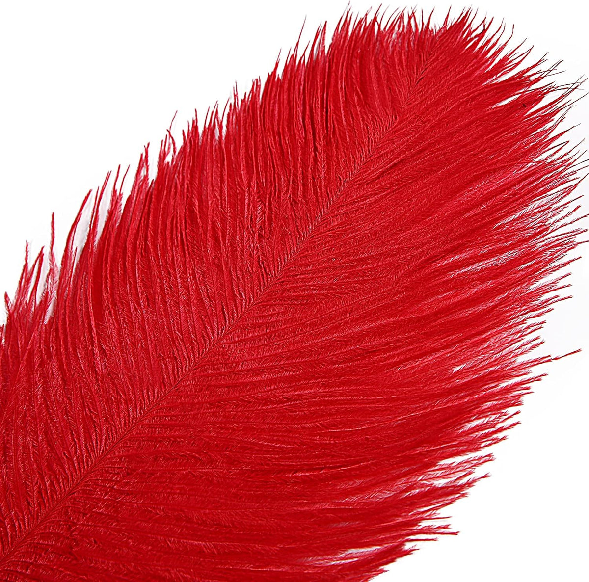 THARAHT Red Ostrich Feathers 12pcs Large Natural Bulk 16-18Inch 40cm-45cm for Wedding Party