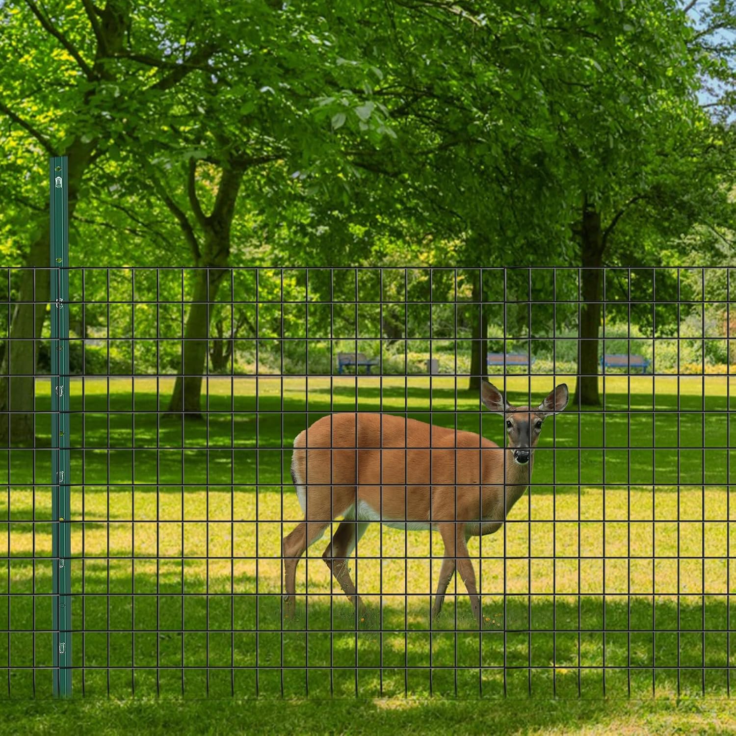 Welded Wire Fence, 50ft(L) x 36inch(H) PVC Coated Wire Fencing for Dog, 2 Inch x 3 Inch 16GA