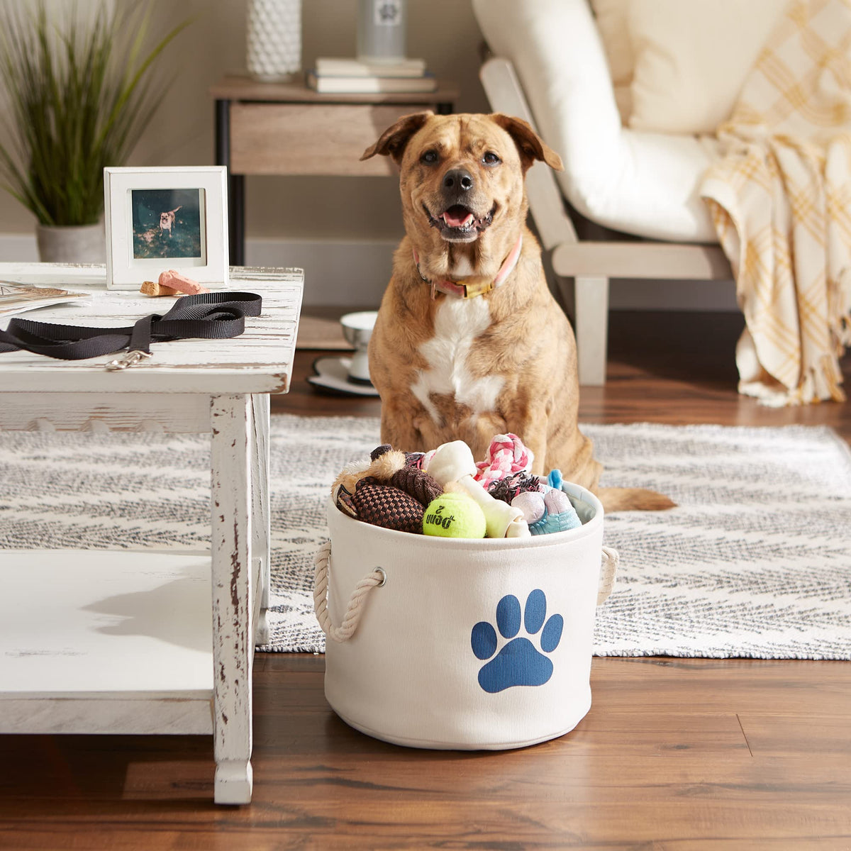 Bone Dry Pet Storage Collection Collapsible Bin, Small Round, Off-White