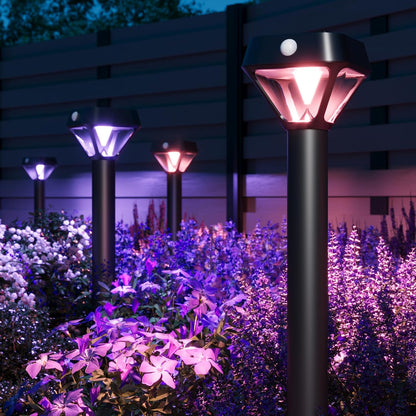 XMCOSY+ Smart Solar Lights Outdoor with Motion Sensor, 150LM APP Control RGBCW Color Changing