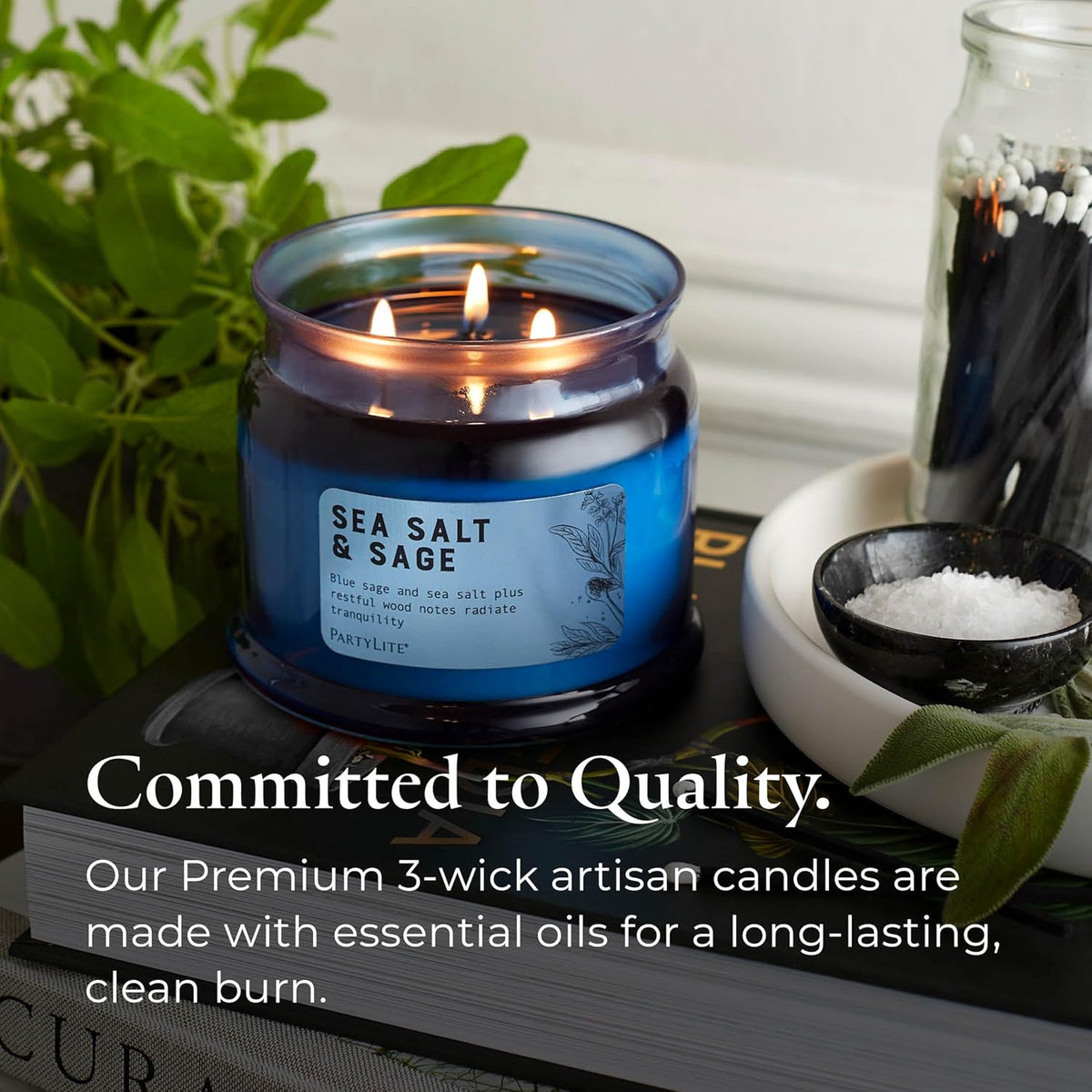 PartyLite Sea Salt & Sage Scented, Notes of Salted Air, Sea-Soaked Sage, Driftwood, Coconut and
