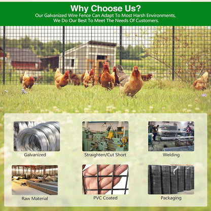 Wire Fence, 48 in(H) X 50 ft(L) PVC Coated Welded Wire Fencing 2" X 2" 16GA Garden Border Vinyl