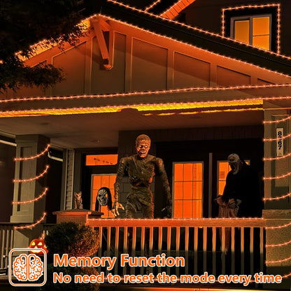 YEGUO Orange Lights for Halloween, 2 Pack Each 33ft 100 LED Rope Lights Outdoor, 8 Modes Fairy