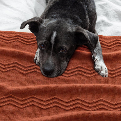 MIULEE Fall Rust Knitted Throw Blanket for Couch Boho Terracotta Textured Cozy Woven Blanket with