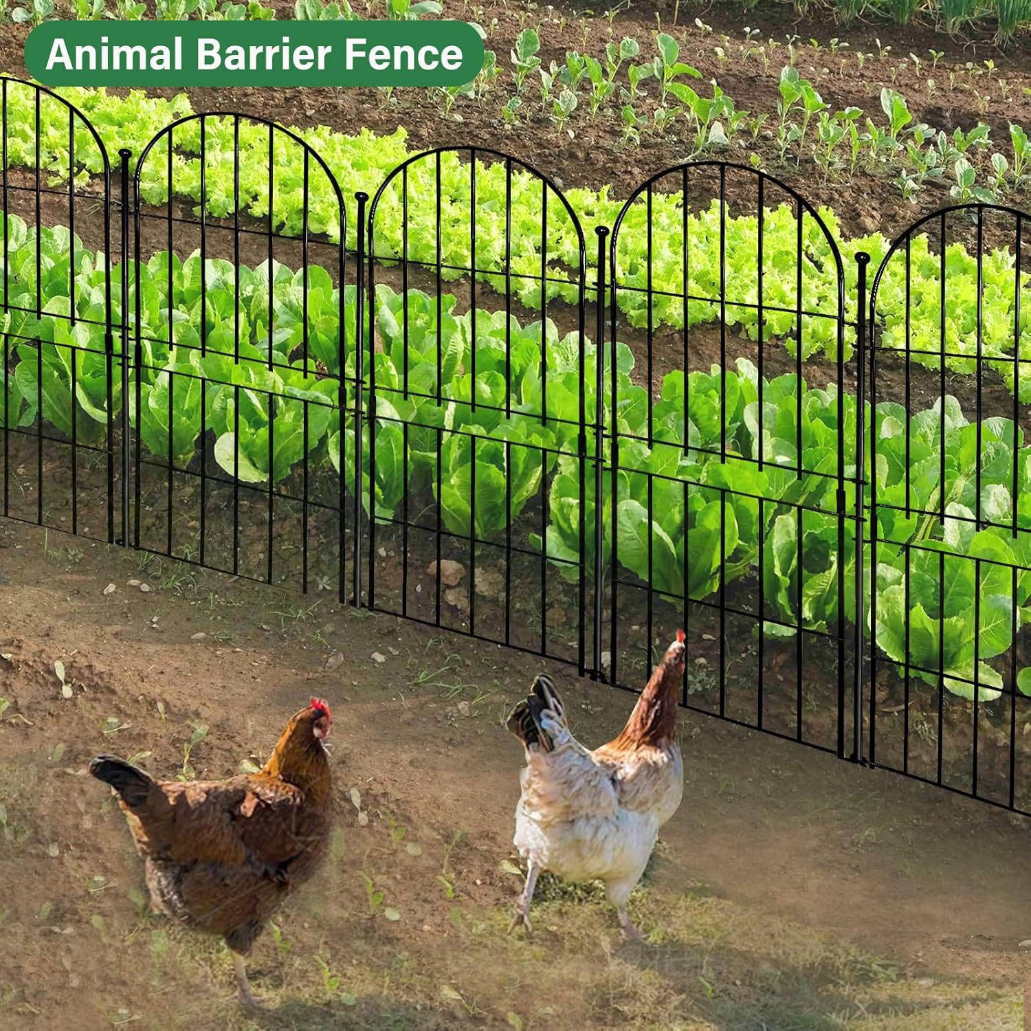 Decorative Garden Fence 31in (H) x10ft (L), 10 Pack No Dig Fence Animal Barrier for Dog, Arched