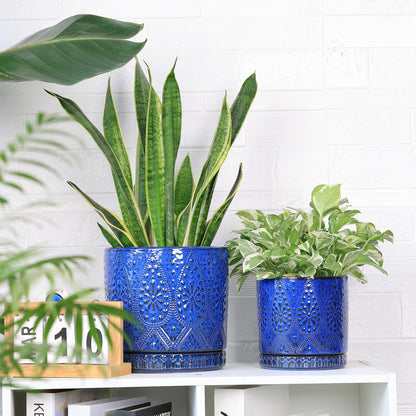 8 Inch + 6 Inch Indoor Plant Pot with Drainage Holes and Saucers, Ceramic Planter for Plants