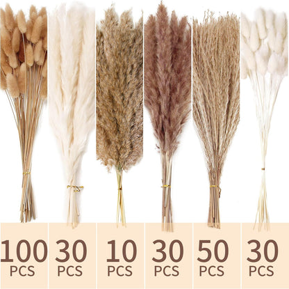 240 PCS Dried Flower Bouquet – Pampas Grass, Floral Decor for Home, Wedding, and Boho Style |