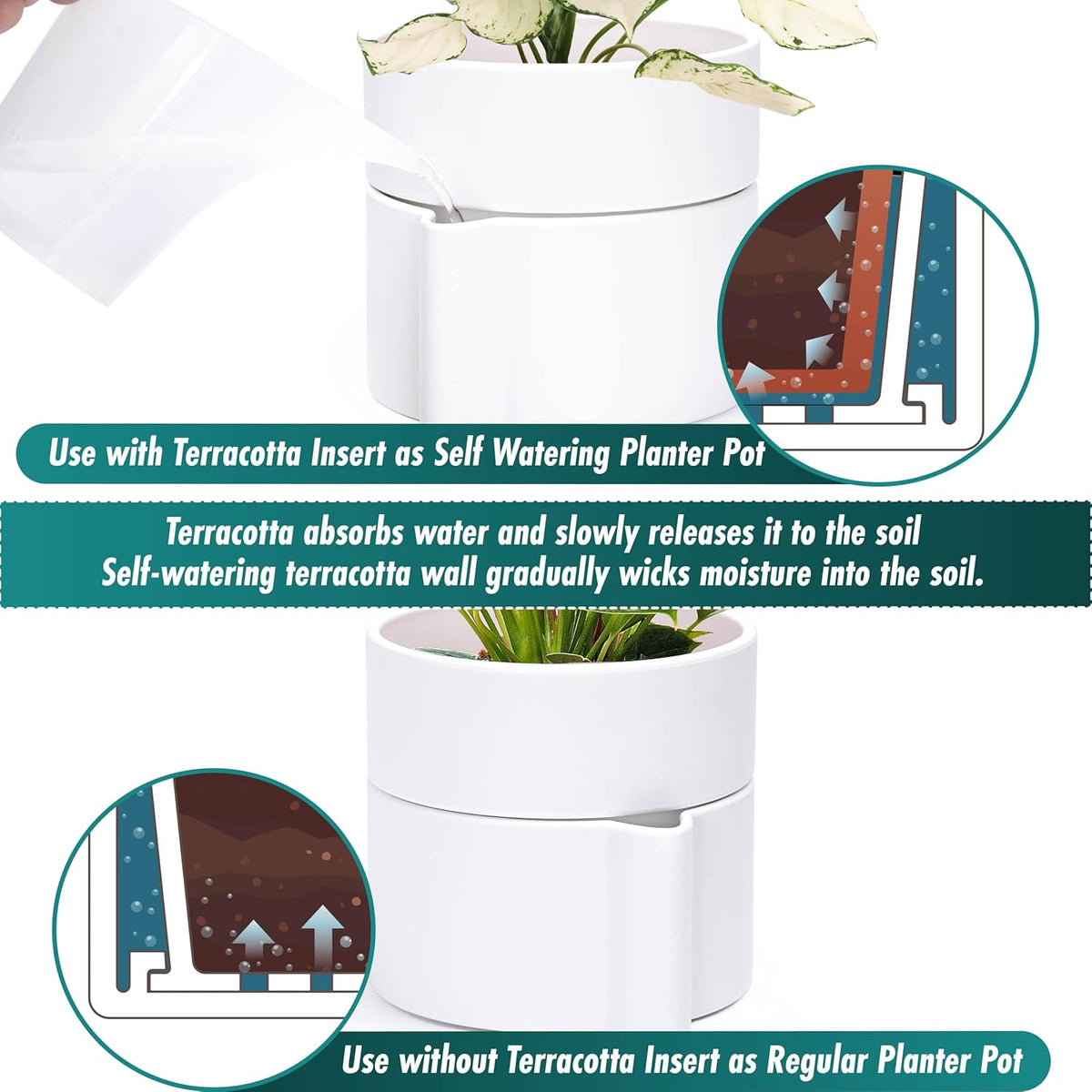 Phoenix Vine 8 Inch Self-Watering Planter Pot with Terracotta Insert, Deep Water Reservoir, and