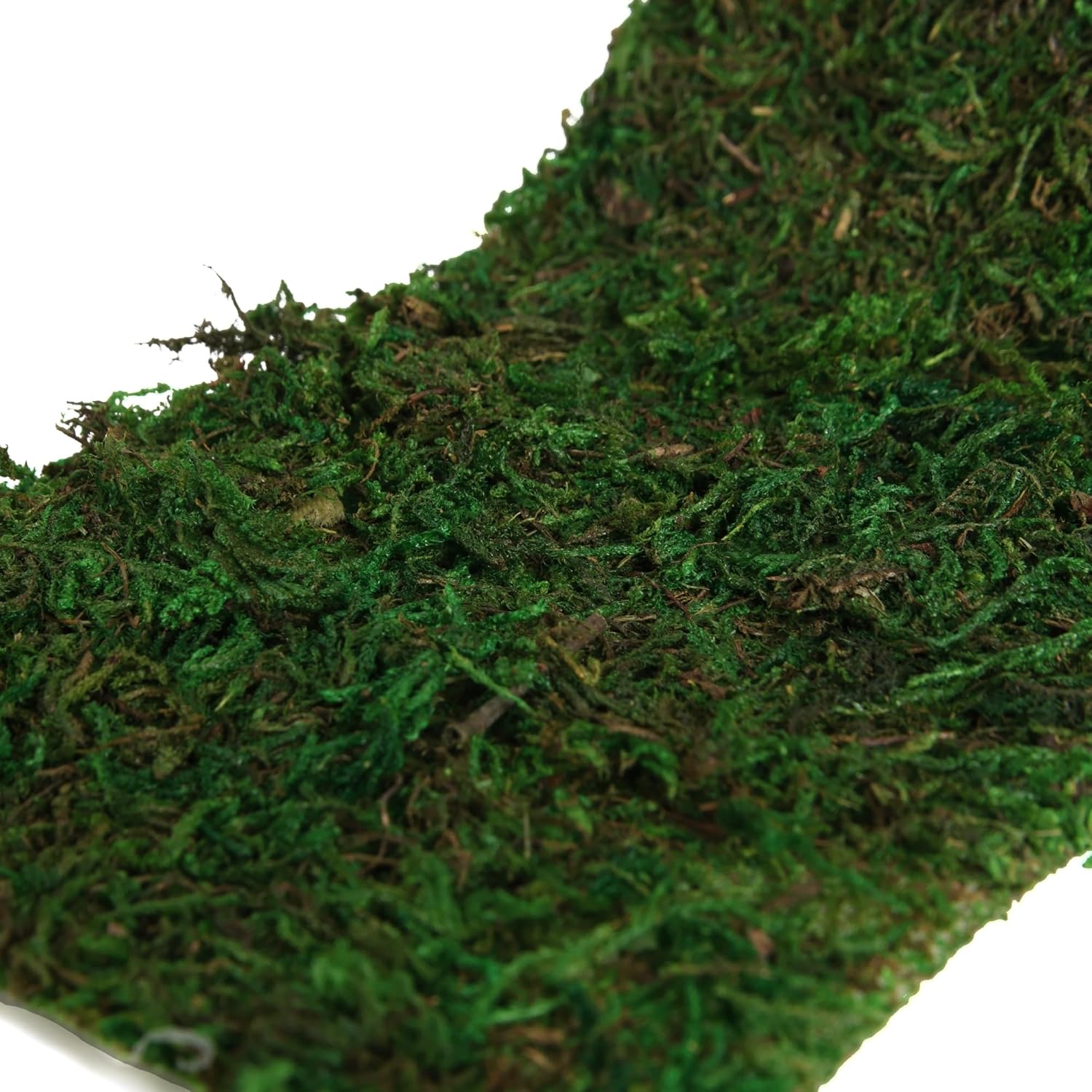 Moss Roll, Dried Moss for Crafts, Moss Table Runner for Fairy Gardens, Wedding Woodland Decor