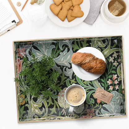 Spsyrine Serving Tray with Handles, Plastic Decorative Tray for Coffee Table, Living Room, Home