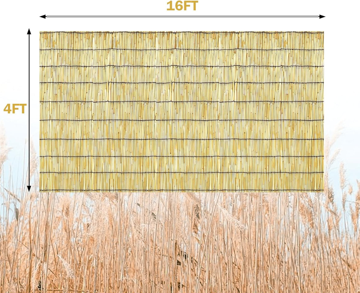Bamboo Reed Fencing, Natural Reed Fence Rolls 4 Feet High, Decorative Bamboo Privacy Curtains for