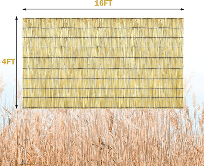 Bamboo Reed Fencing, Natural Reed Fence Rolls 4 Feet High, Decorative Bamboo Privacy Curtains for