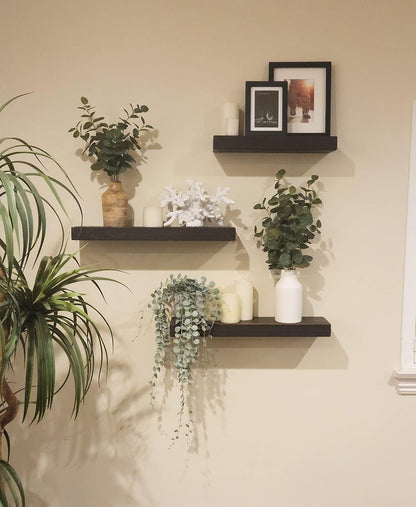joelsantiques 24 Inch Wooden Floating Shelves for Wall - 24x6x2 in - Made of Natural Wood - Short