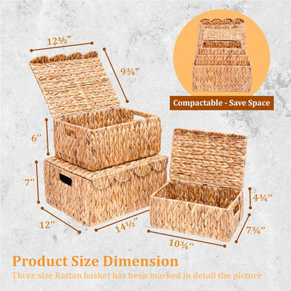 Set of 3 Scalloped Edge Wicker Basket with Lid, Rectangle Wicker Storage Basket with Built-in