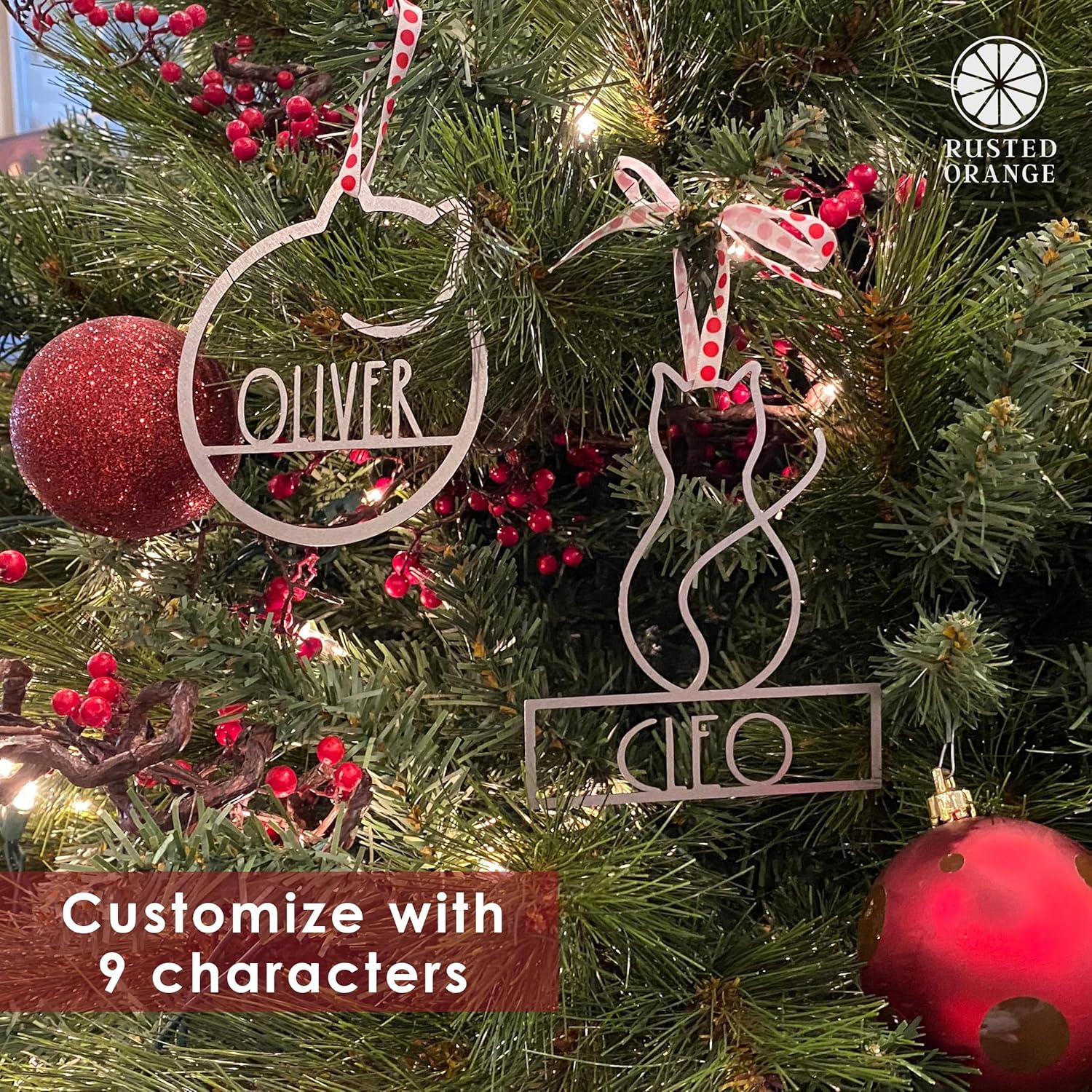 Man's Best Friend Personalized Pet Ornaments (2 Pack; 6 Inch) - Custom Name and Personalized Dog